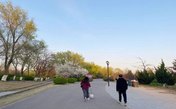 读散步的读后感7篇