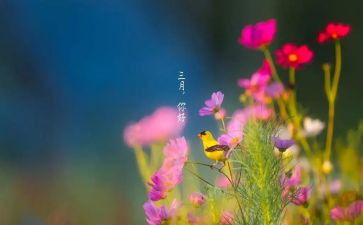 中班三月份工作总结模板6篇