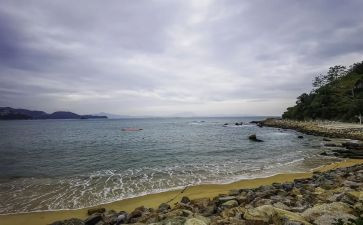 有关于深圳的作文7篇