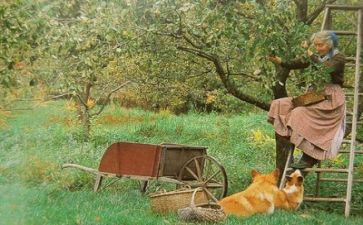 生活部的个人总结5篇