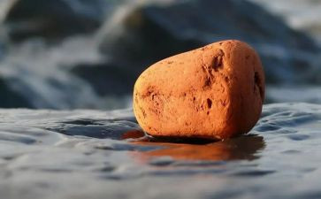 公石头母石头读后感8篇