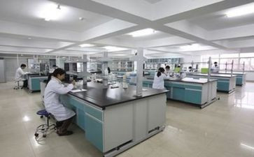 优秀实验作文推荐8篇