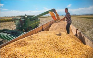 写收获的作文模板5篇