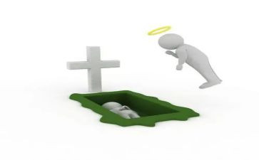 蛾的死亡读后感6篇
