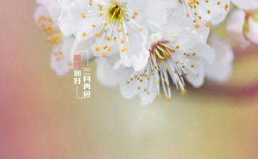2024年幼儿园中班四月工作总结8篇