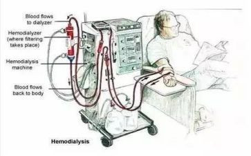 透析室2024工作总结精选8篇