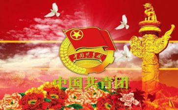 社区团干部个人总结6篇