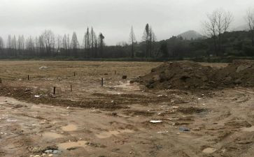 土管员述职报告最新7篇
