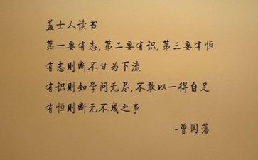 2024年文字工作总结范文7篇
