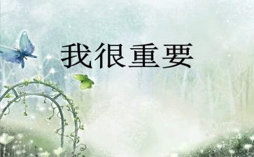 我很重要毕淑敏读后感6篇