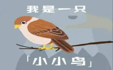 小鸟要回家教案5篇