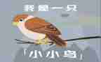 小鸟要回家教案5篇
