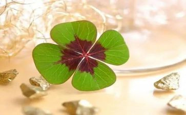 幸运的我教案优秀8篇