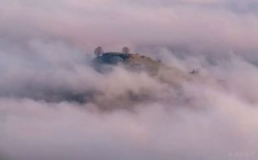 雾霾的作文800字5篇