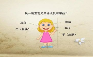 《我的五官》作文8篇