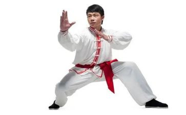 武术的工作计划5篇