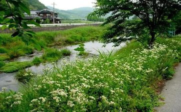 森林报·夏读后感优秀7篇