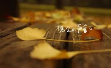 关于想念作文推荐6篇