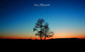 关于想念作文6篇