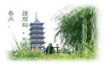 梦想起飞作文5篇