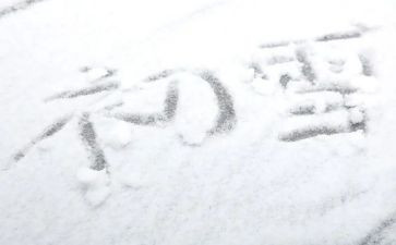 小作文下雪了150字8篇