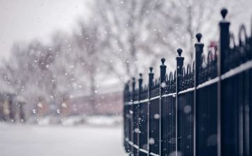 下雪天教案模板7篇