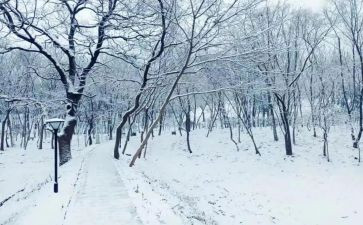 下雪天教案最新7篇
