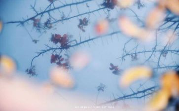 我心灵的成长作文精选7篇