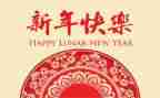小小班过新年教案最新5篇