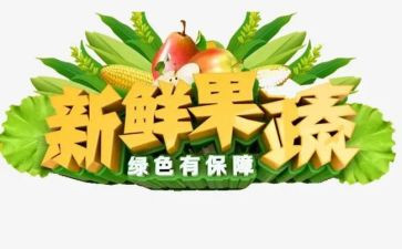 新鲜活动方案6篇