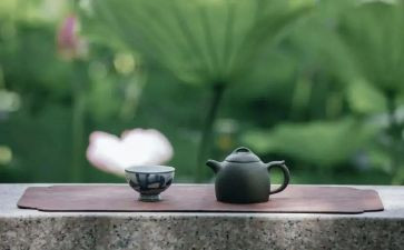 修养的作文优秀5篇