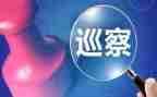 2024年巡察组工作总结6篇