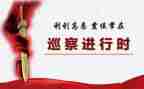 巡察组长工作总结8篇