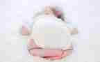 乖宝宝的教案7篇