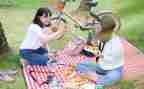 语言小猪的野餐教案6篇