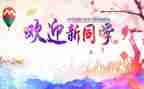 2024年幼儿园迎新年活动方案最新7篇