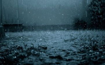 雨来了教案及反思通用8篇