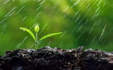 雨中的校园作文精选5篇