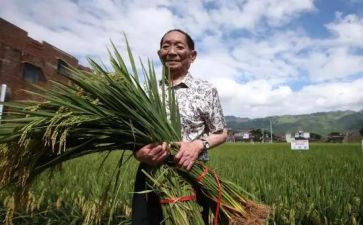奠袁隆平作文最新6篇