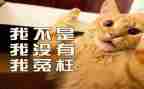 她冤枉了我作文精选6篇