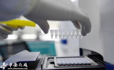 质量工作年终总结个人总结6篇
