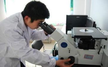 质量组工作总结最新6篇