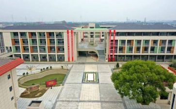 中心校述职报告优秀6篇