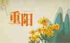 重阳节主题活动方案5篇